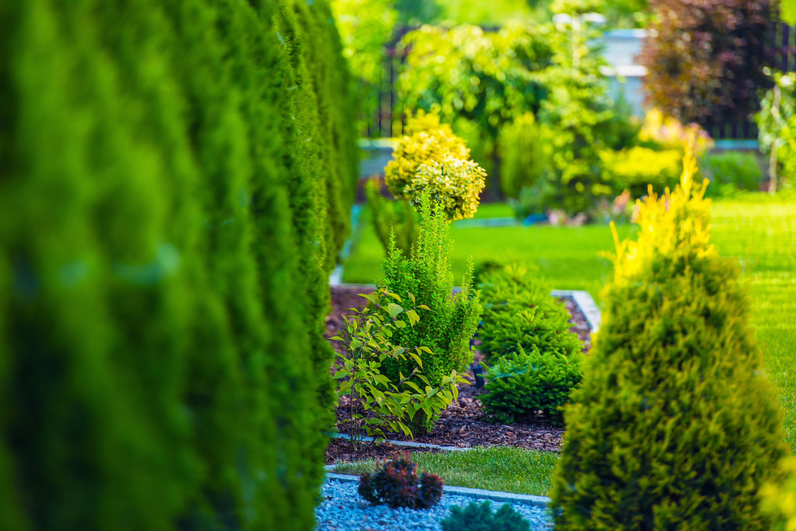 Beautiful Green Garden