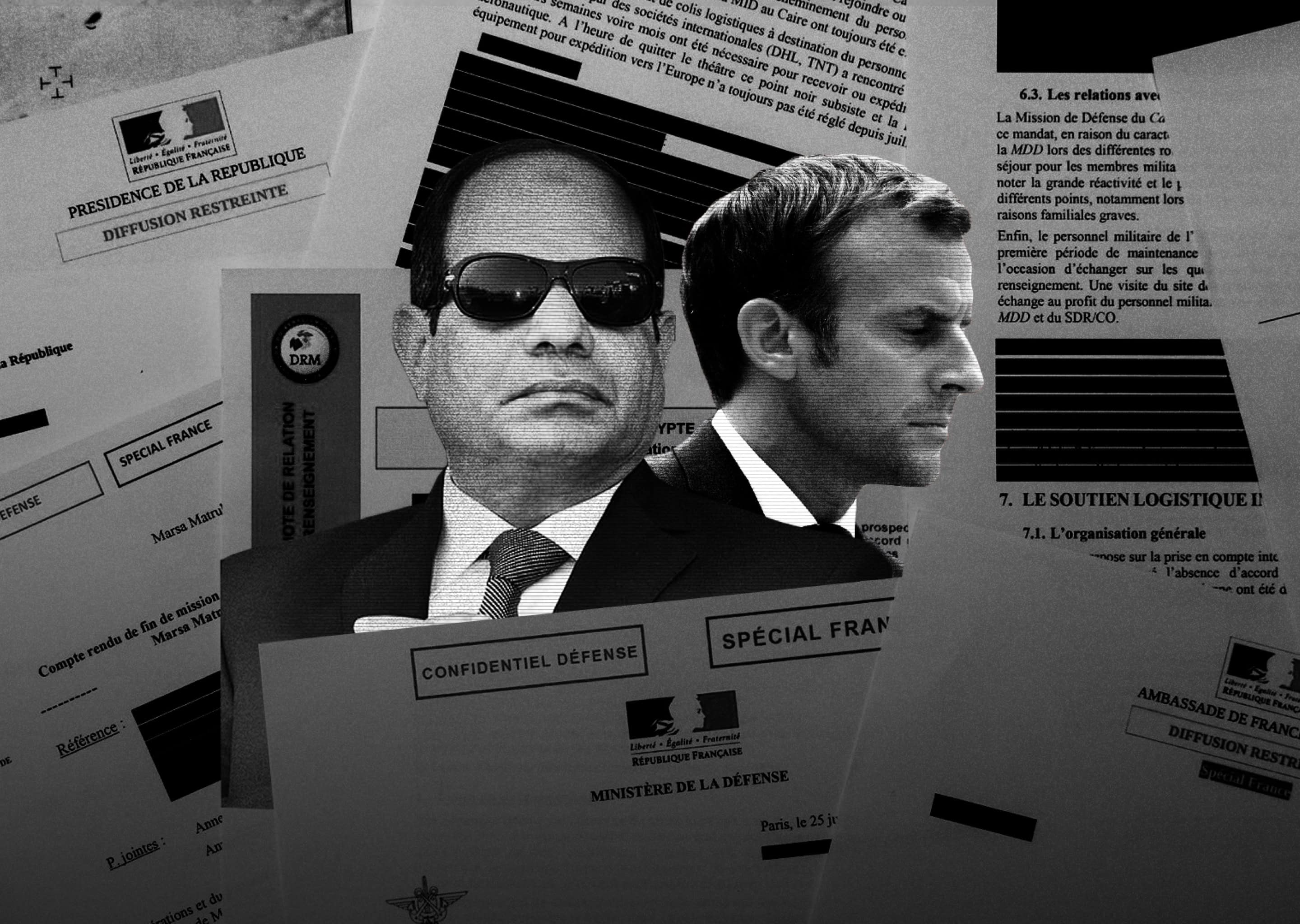 Egypt Papers — Disclose.ngo