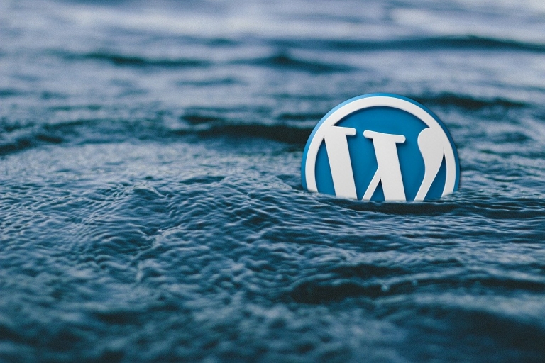 Do You Know The Pros and Cons of a WordPress Website?