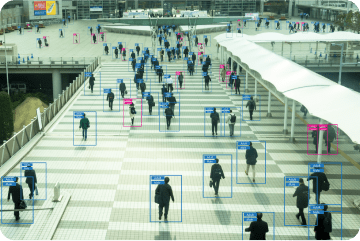Image & Sound Recognition