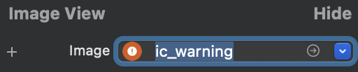 Icon Code