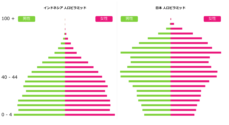 Indonesia Demographic - Pyramid