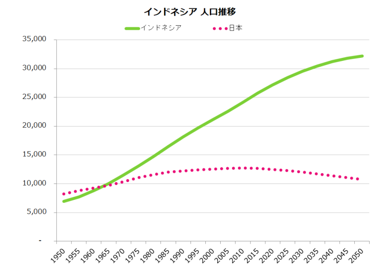 Indonesia Demographic