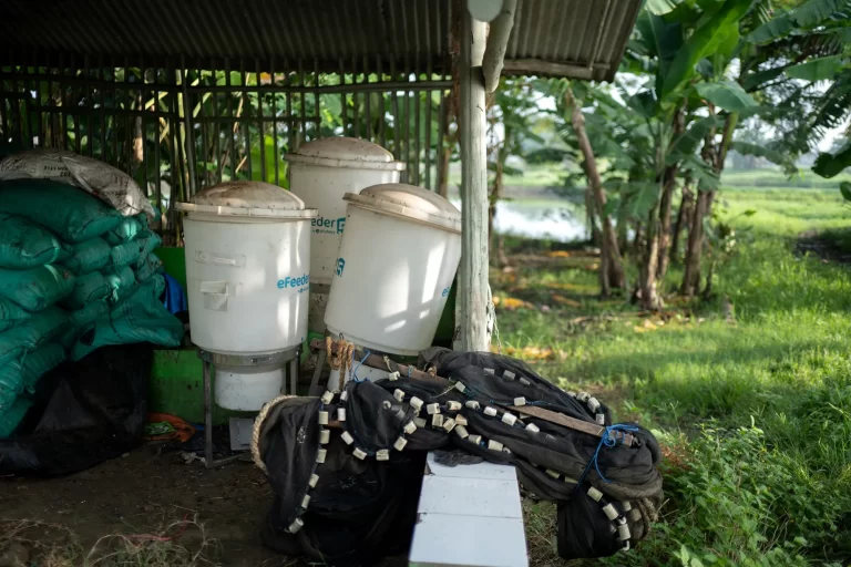 eFishery Startup Fraud Case Study - Timedoor Indonesia