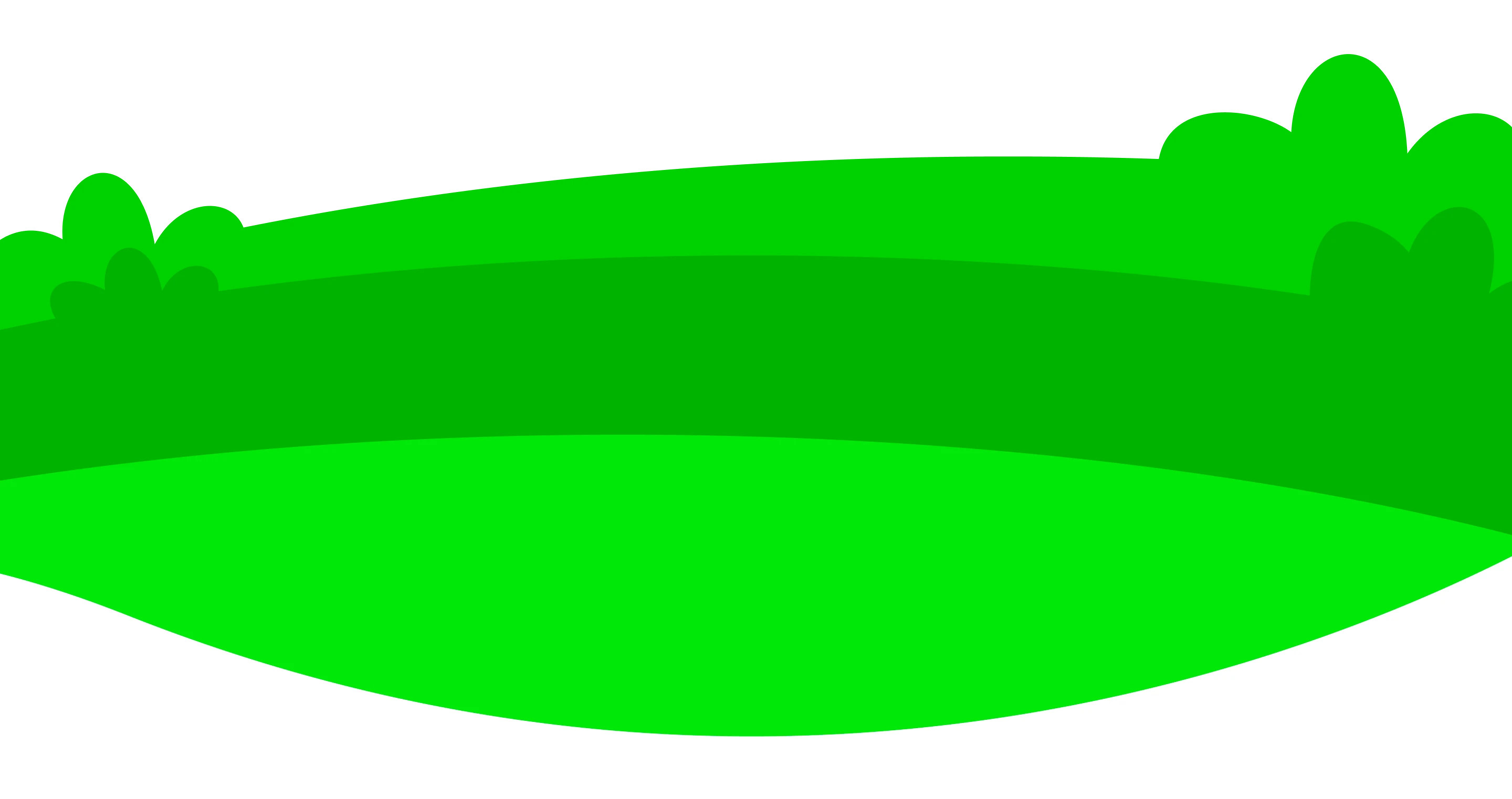volunteer background