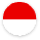 language icon