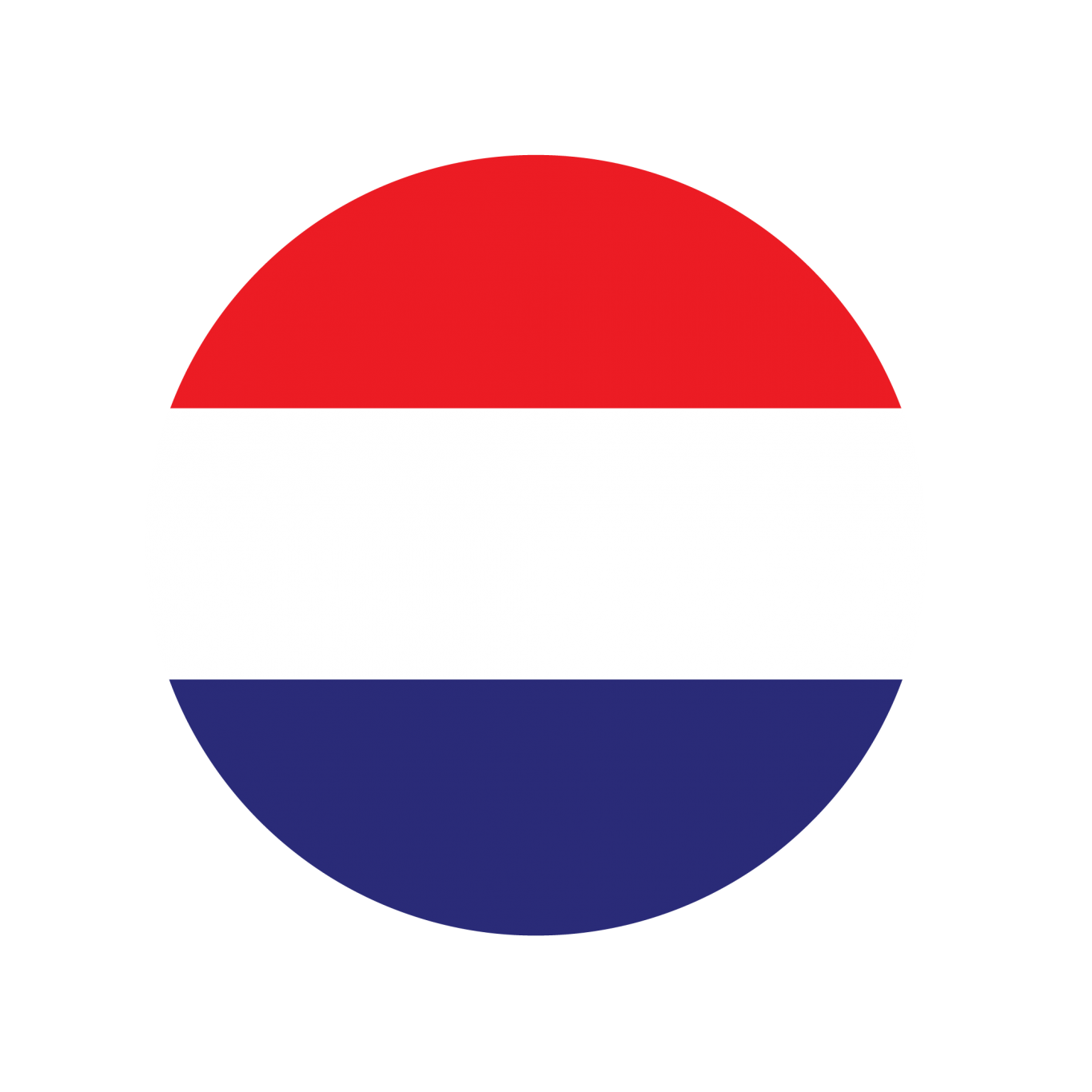 language icon