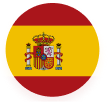 language icon