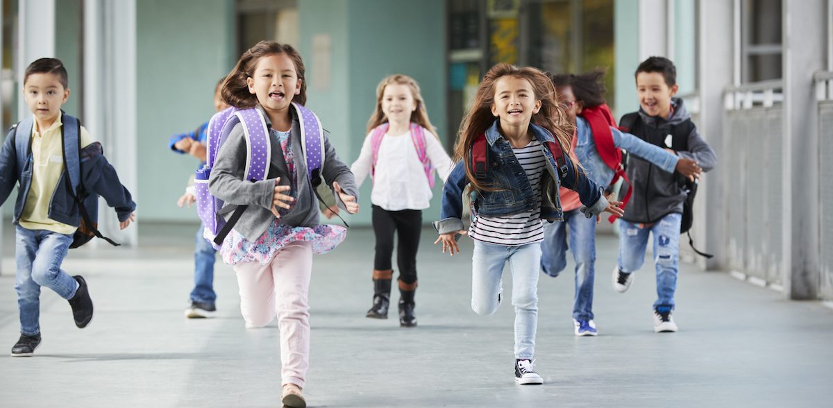 School Partnership image