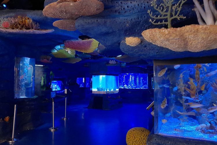 Jakarta Aquarium Set