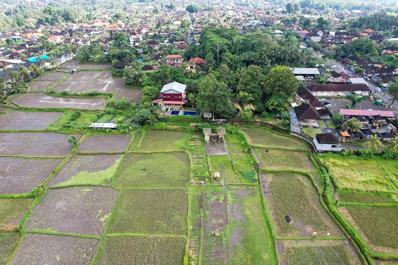 Wood School Bali, Sekolah Swasta dan Internasional di Gianyar