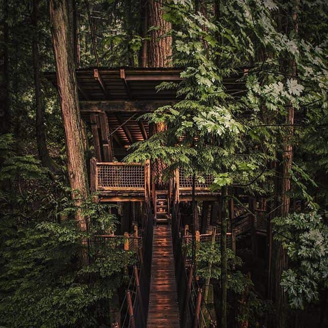 Private Tour — Capilano and Grouse Mountain