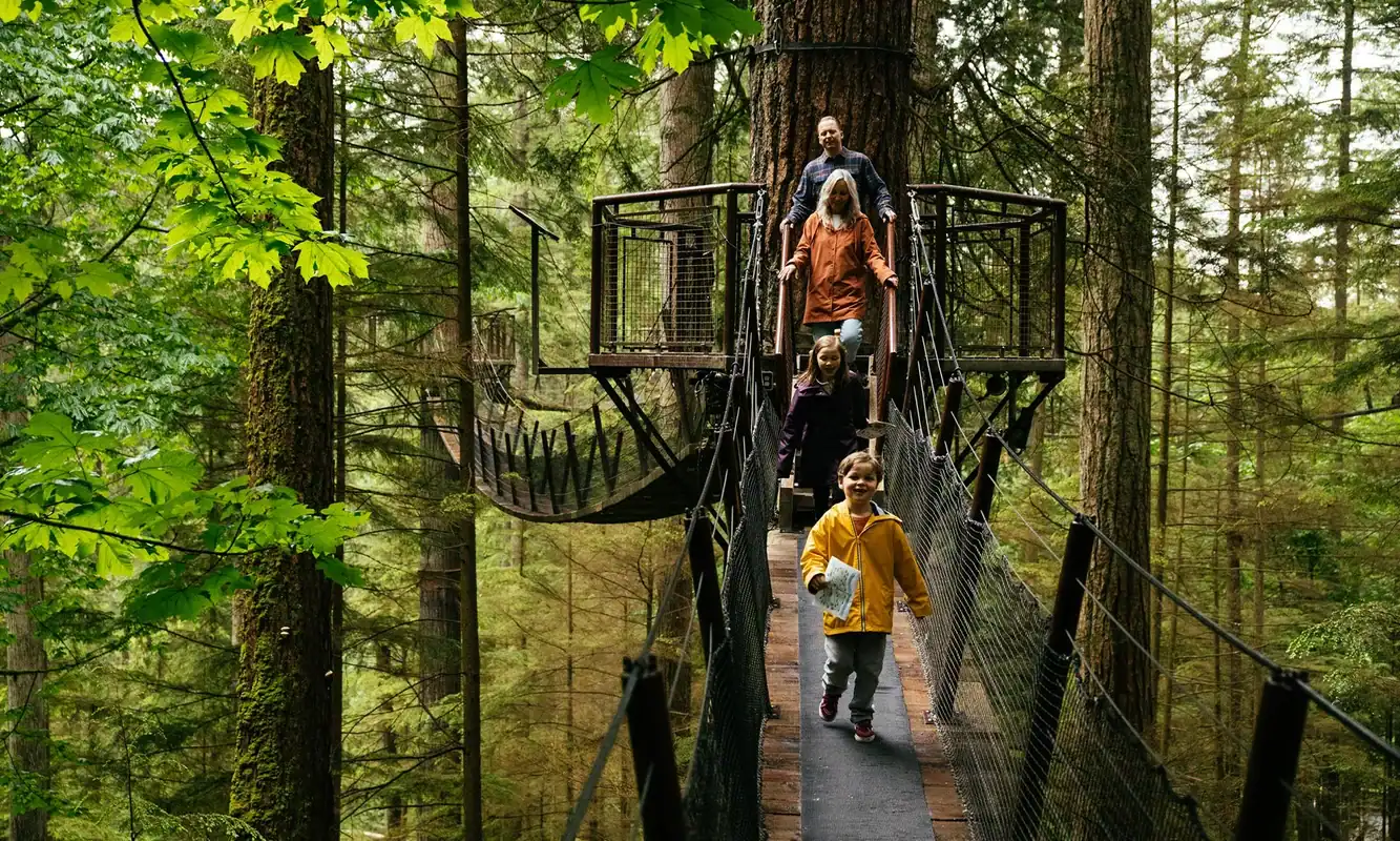 Capilano and Vancouver sightseeing cruise tour