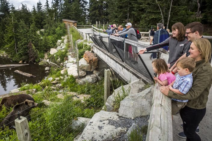 Capilano Suspension Bridge and Grouse Mountain cruise tour Vancouver