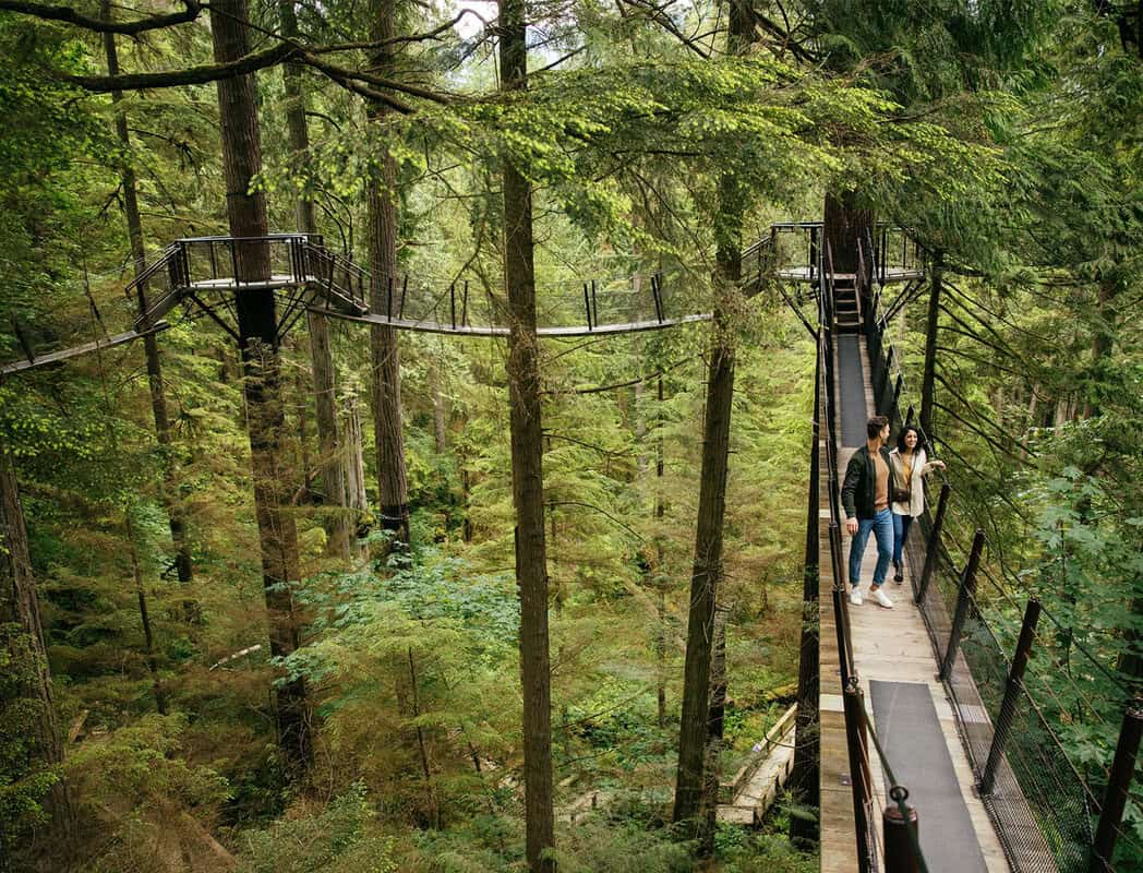 Capilano Suspension Bridge treetops adventure Vancouver