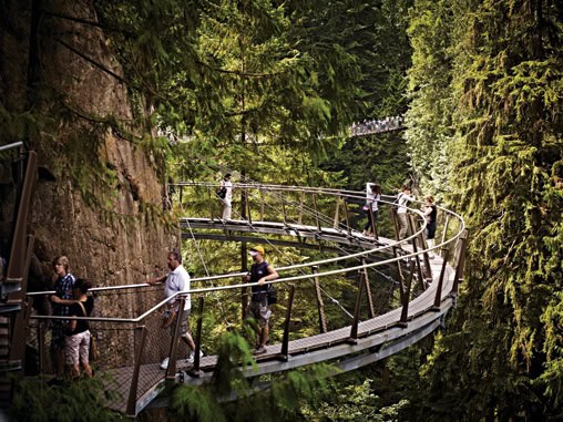 Capilano Cliffwalk private tour sunny afternoon