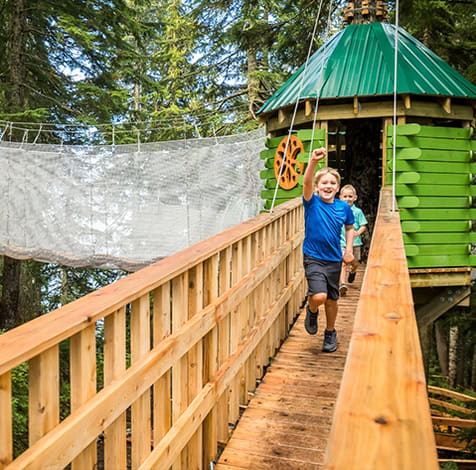 Capilano treetops family tour