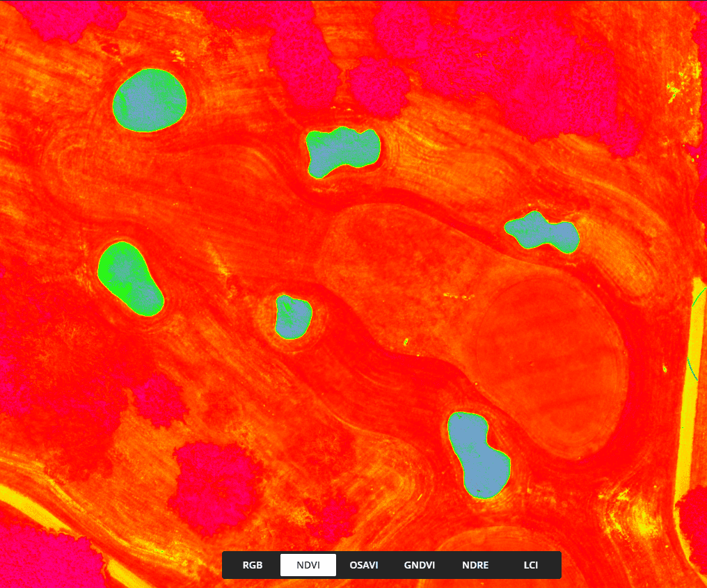 Drone Multispectral on Golf Courses