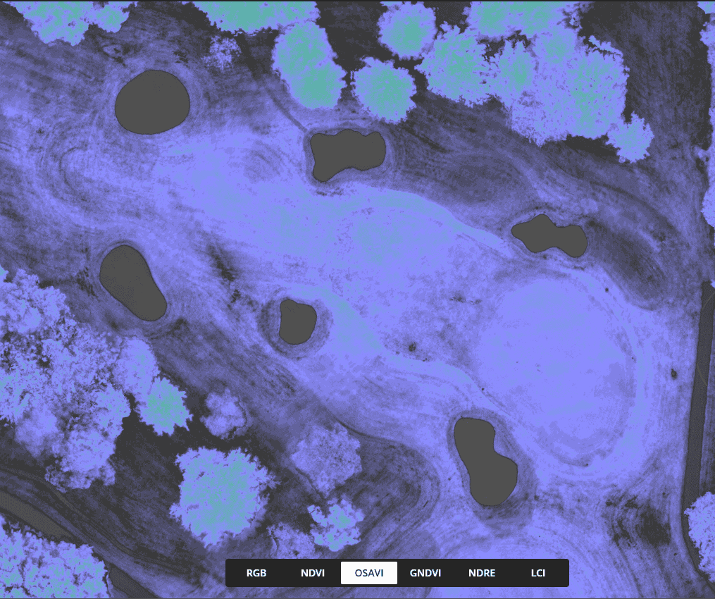 Drone Multispectral on Golf Courses