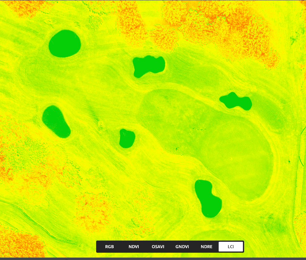 Drone Multispectral on Golf Courses