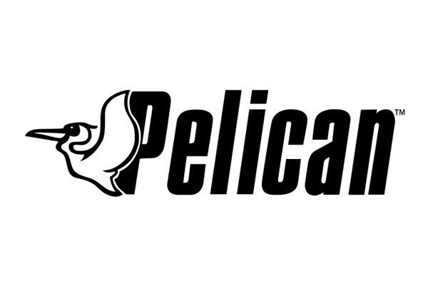 pelican