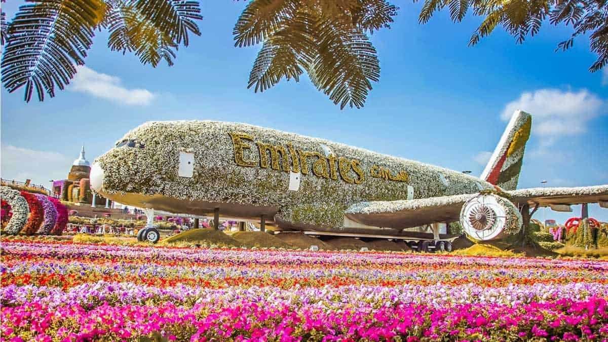 Dubai Miracle Garden