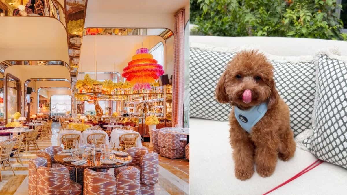 Gloria Osteria DIFC Is Now Ready To Welcome Your Four-Legged Friends