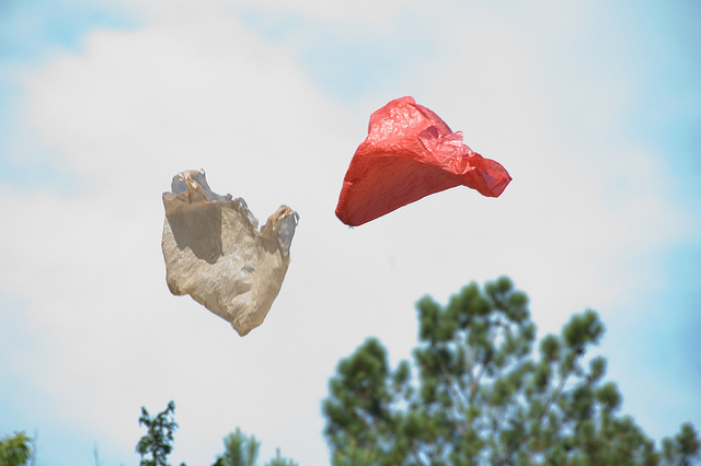 25+ Strong Reasons Why Plastic Bags Should Be Banned