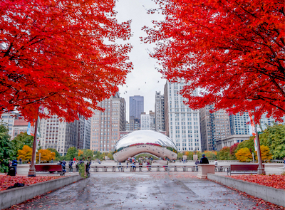 Chicago Bean in fall