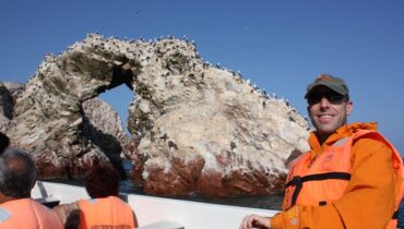 800_rock_birds