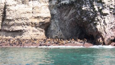 Ballestas_islands_peru