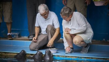 ZafiroCruise_Gallery1