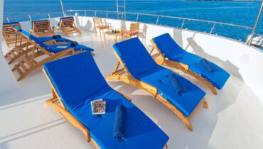 tip-top-ii-deck