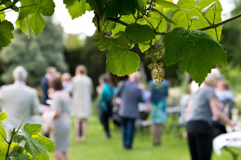 West Sussex wedding borde hill gardens photographer 164234