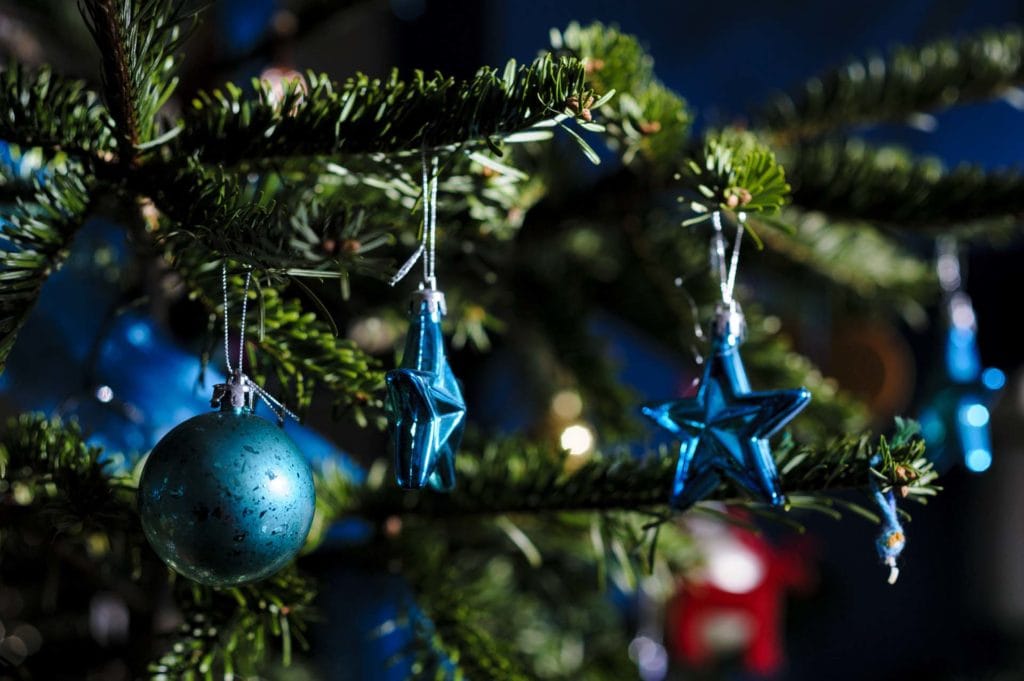 Camberwell Photographer New Year walk 123256