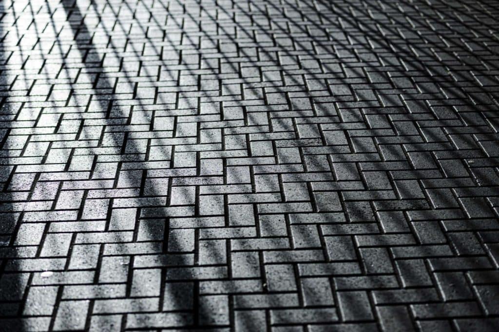 Camberwell Photographer New Year walk 125700