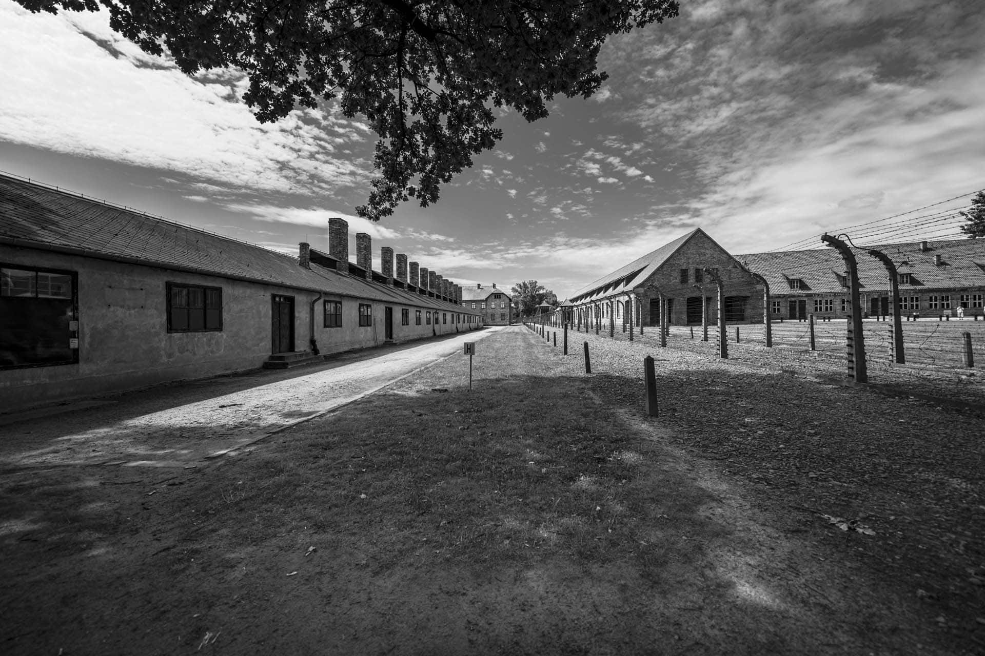 Auschwitz Birkenau extermination camp Poland holocaust 101047