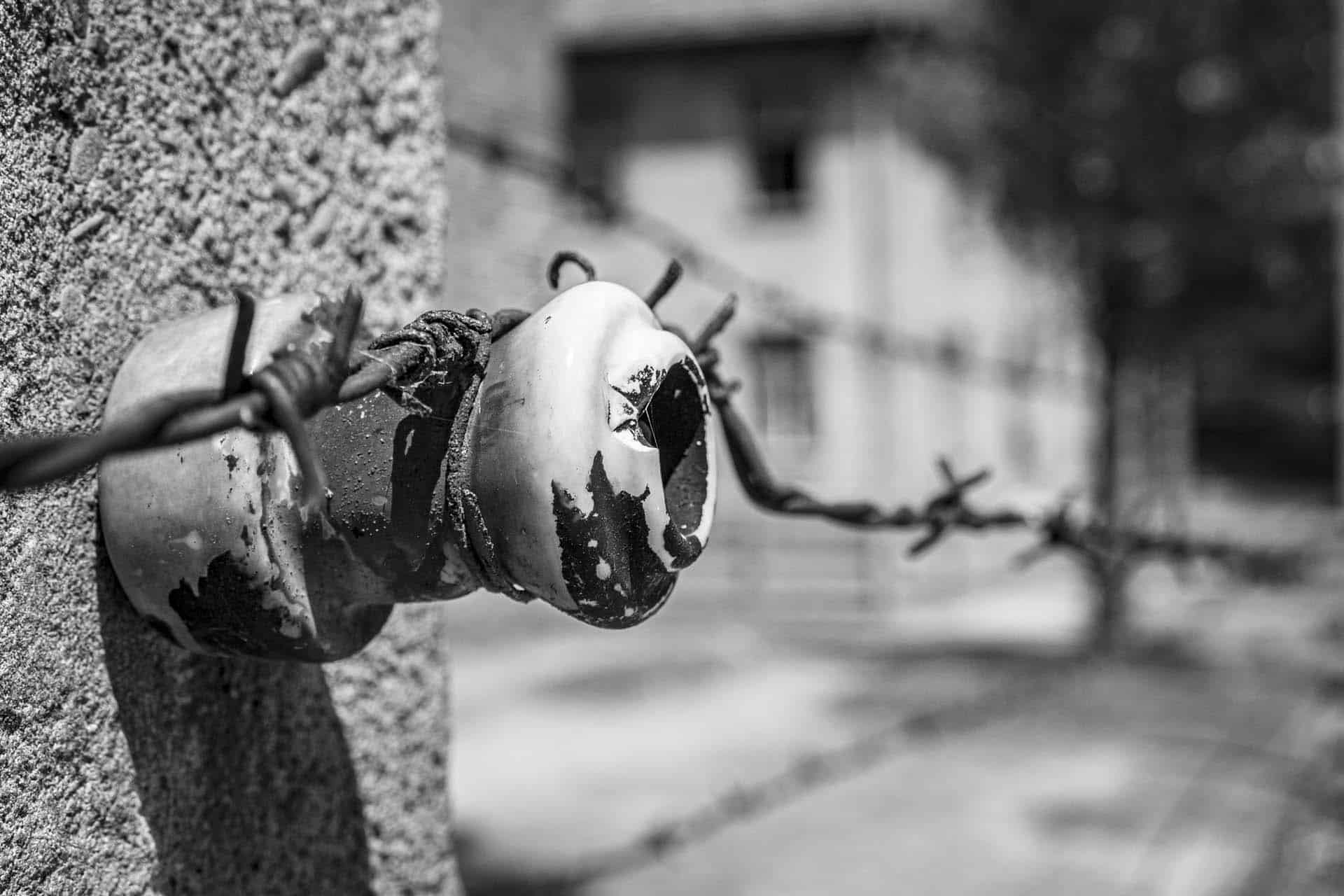 Auschwitz Birkenau extermination camp Poland holocaust 114139