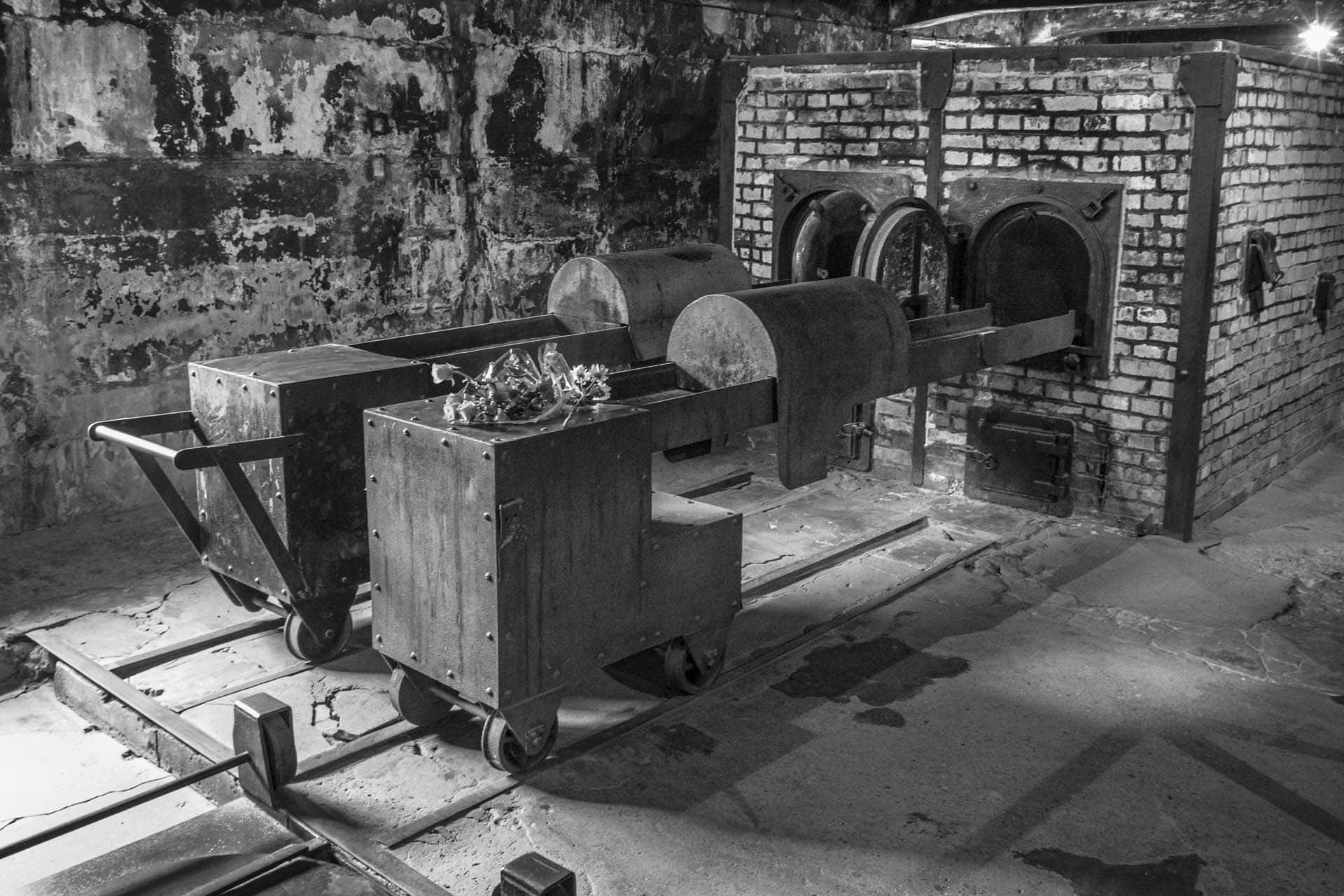 Auschwitz Birkenau extermination camp Poland holocaust 114721