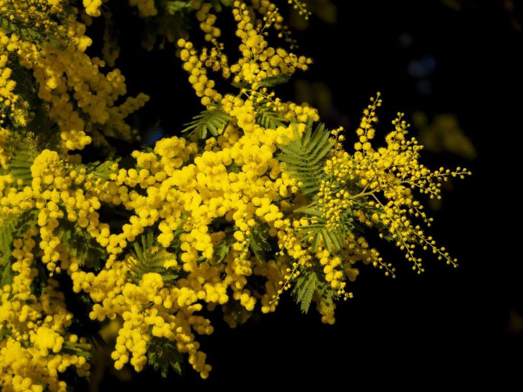 Camberwell Life London photographer Lumix GH3 test 220205 105905 a