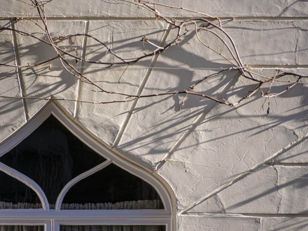 Grove Lane Camberwell Life London photographer Lumix GH3 test 220205 110139 a