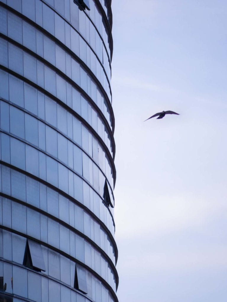 Kings College Hospital Denmark Hill Life London photographer Lumix GH3 test 220205 115512 a