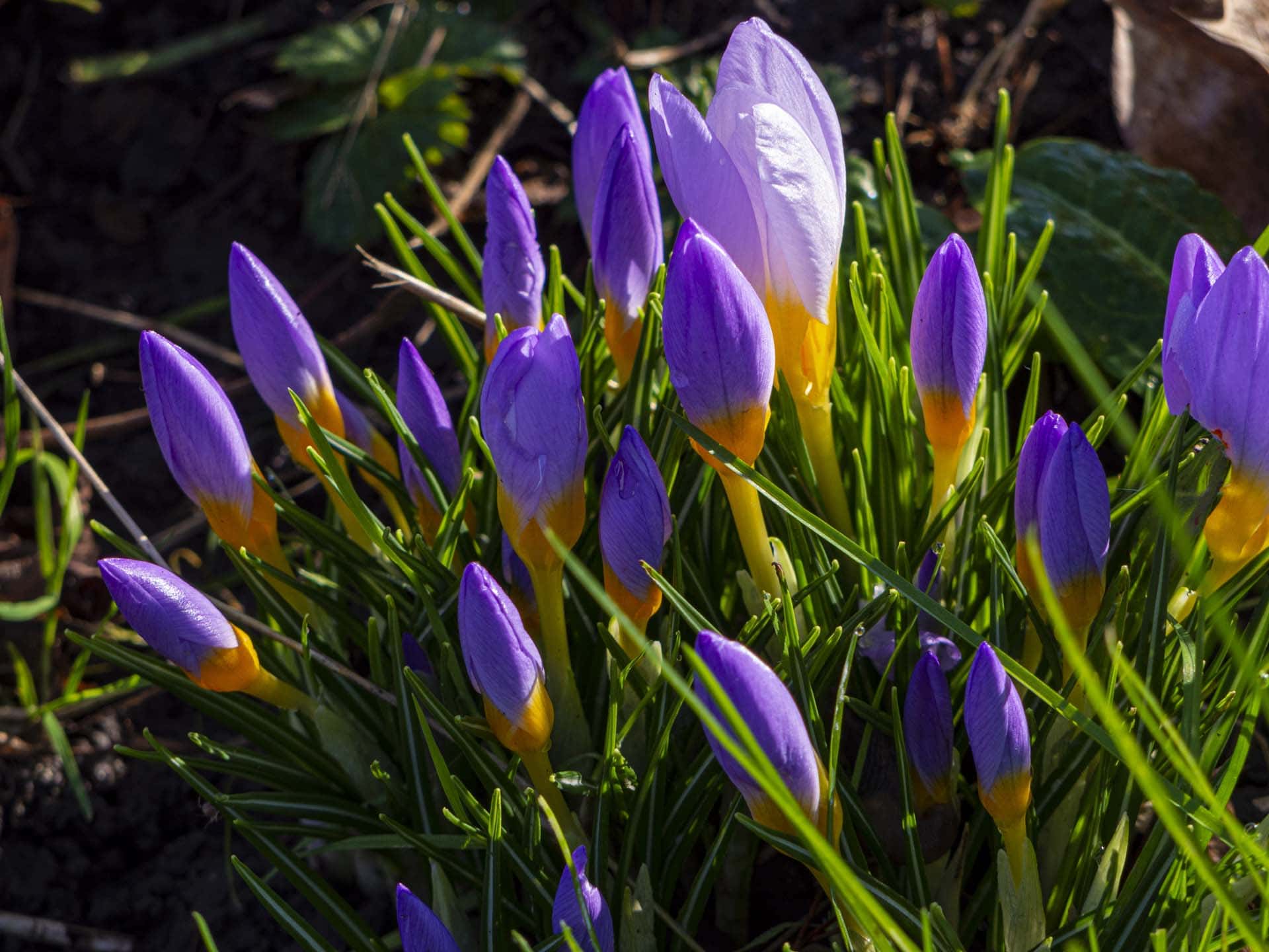 Camberwell Life London photographer Lumix GH3 test 220205 120804 a