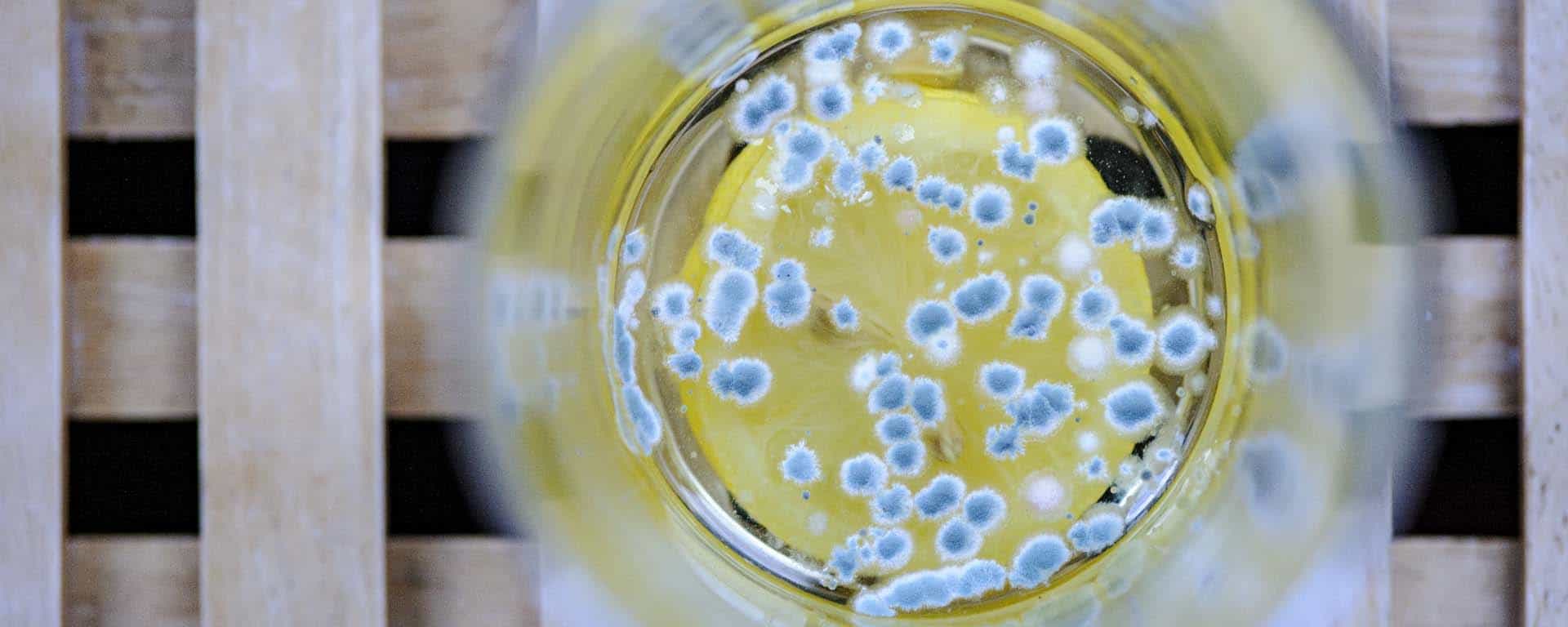 WEDDING PHOTOGRAPHER: BUSY IN BEREAVEMENT