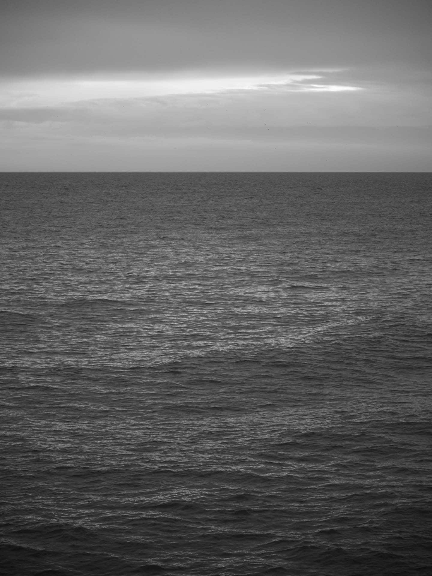 Brighton 230316 173640