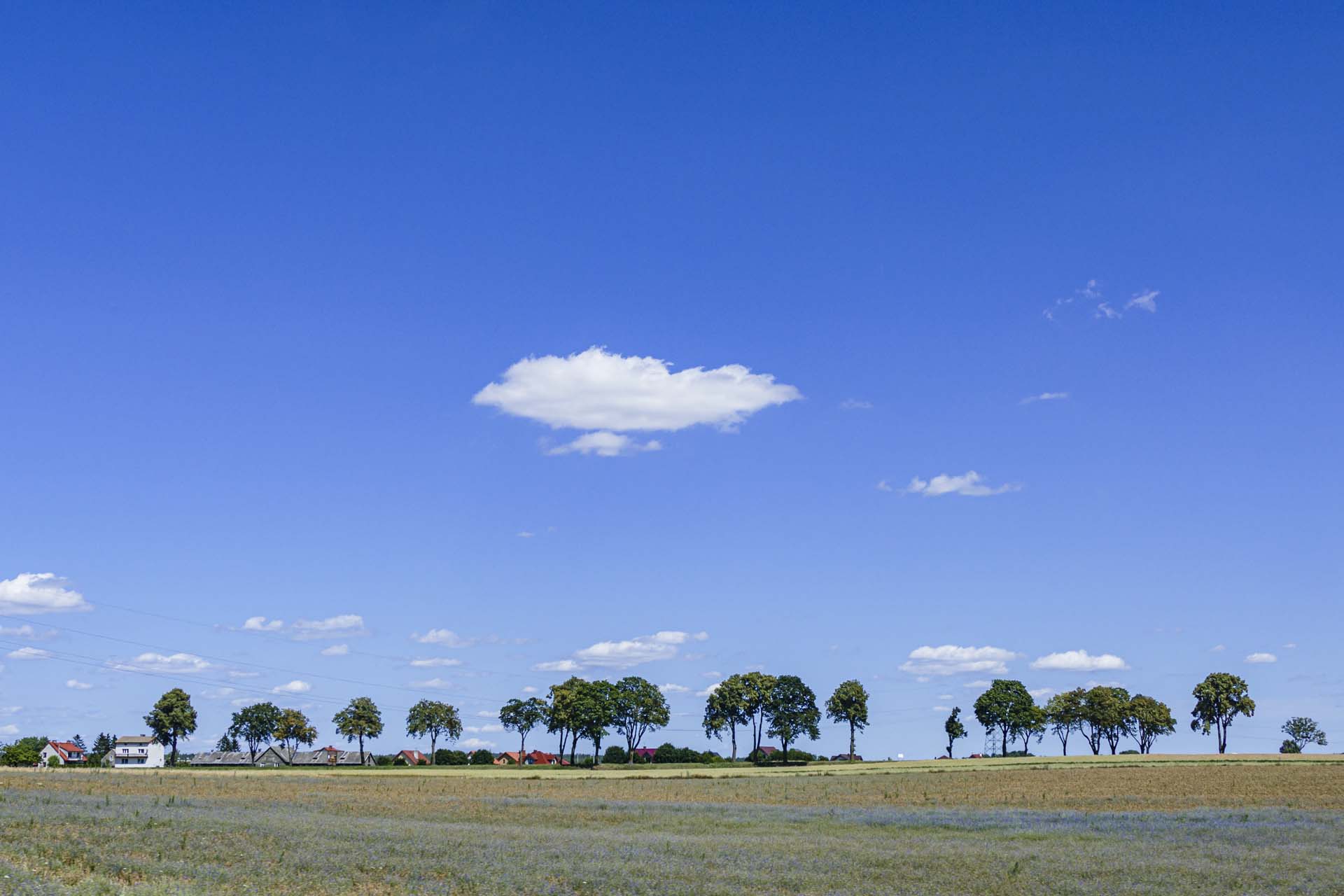 Kindertransport 07172015 130132 deleting photographs wedding photographer on holiday kindertransport journey
