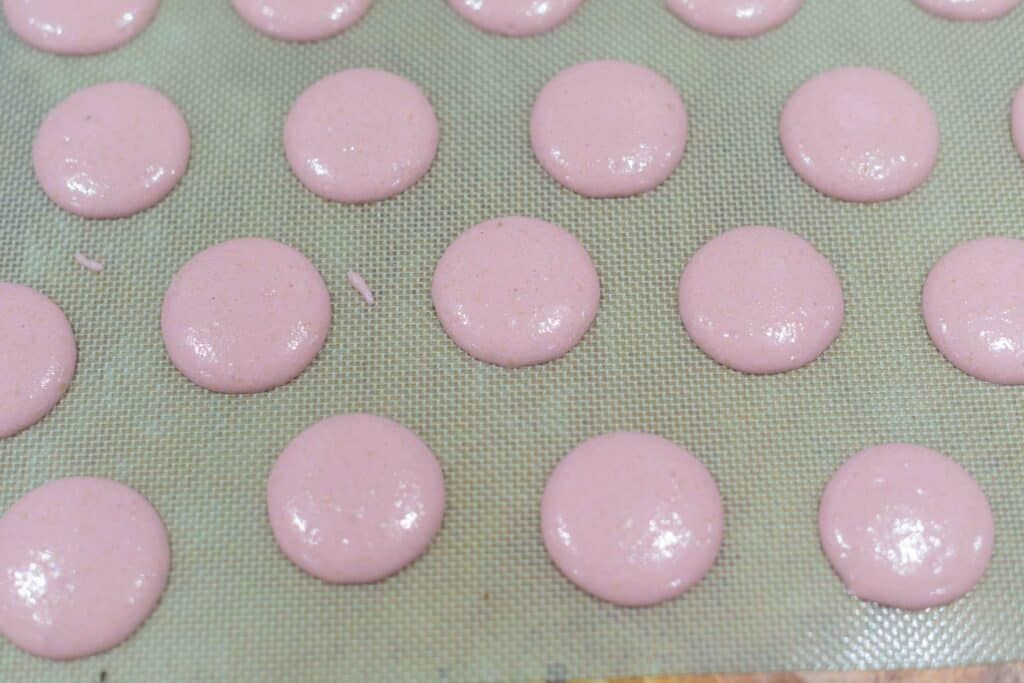 Three Little Birds Shop Opening 230519 140025