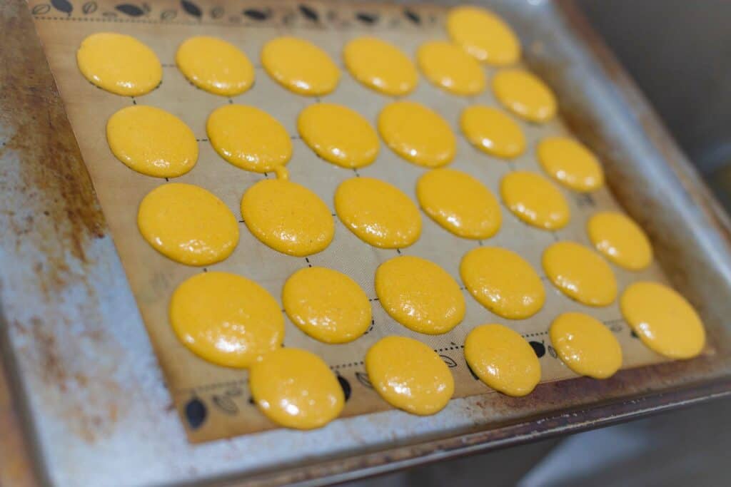 Three Little Birds Shop Opening 230519 145614