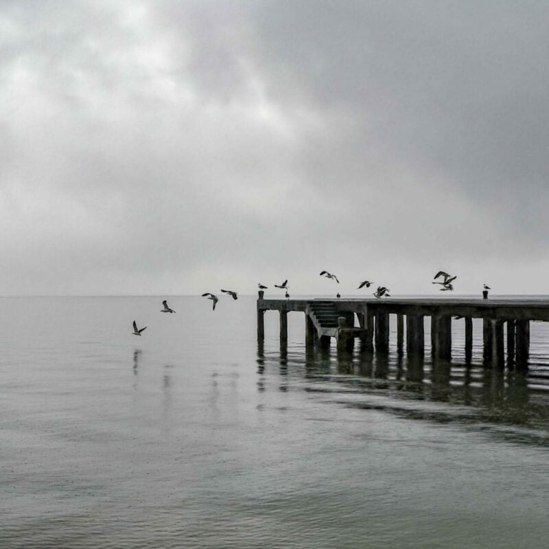 The gulls Florianopolis bromley wedding photographer