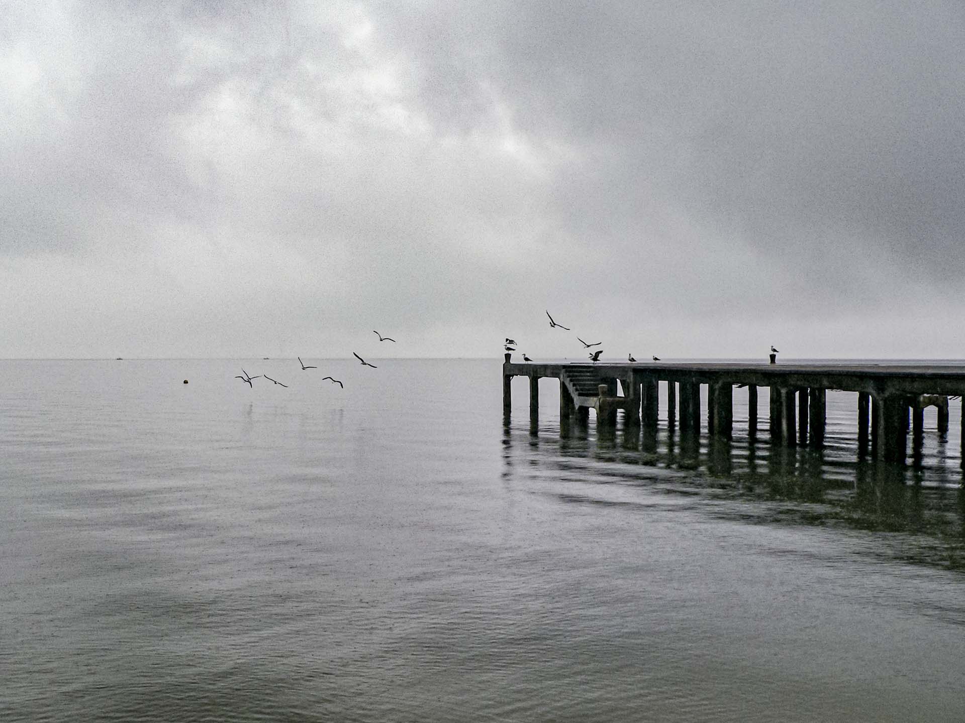 the gulls wedding photographer brazil 185247